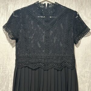 Zara Basics Lace & Pleated Dress